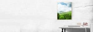 Buntes Bild von einer Inselaussicht hängt über einem Schreibtisch an einer grauen Betonwand